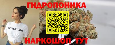 дурь Владимир
